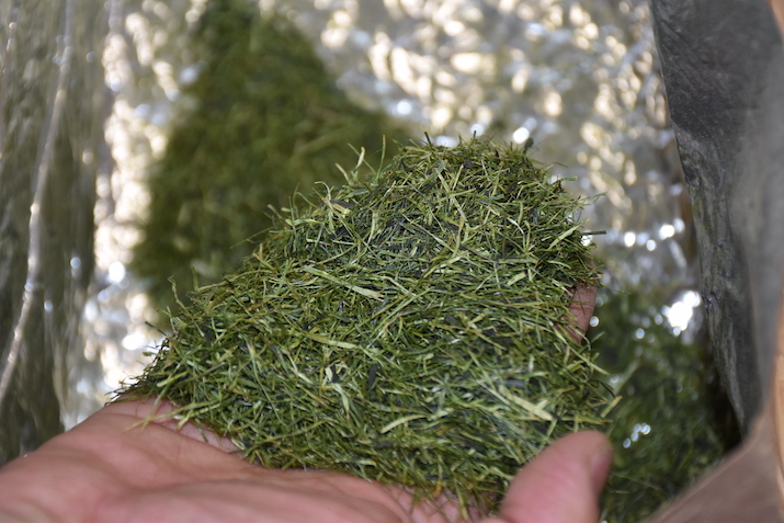 Crafting sustainable beer with coffee & tea